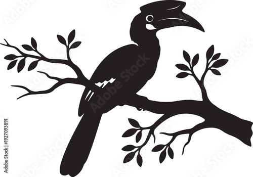 Hornbill on branch in silhouette