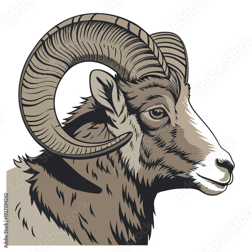 A highly realistic, detailed close-up of a ram's head, facing forward. The ram has large, curved horns with visible texture and shadows. Its fur is thick and coarse, with natural color tones of brown,