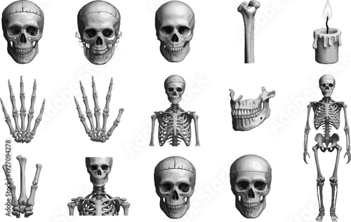 Human skeleton icon set.