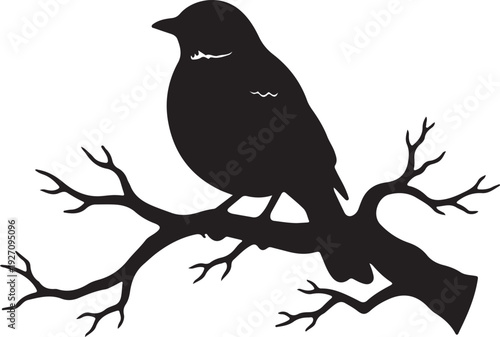 robin on branch in silhouette white background.