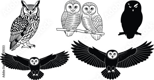 Owl silhouette and line art set flying perched nocturnal bird collection isolated on white