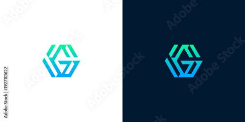 Dynamic geometric hexagonal logo design with a modern gradient, conveying innovation and connectivity for technology and digital branding. This abstract symbol reflects sleek and professional identity
