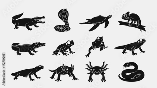 Digital Illustration of 12 Black Animal Silhouettes Arranged in Four Rows of Three on Light Gray Background for Educational Use