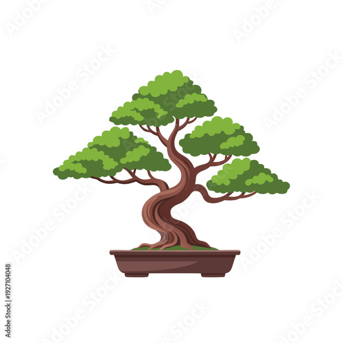 Elegant bonsai tree in artistic pot with intricate branching and lush green foliage on white background