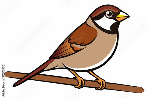 Vibrant cartoon sparrow with brown plumage and white chest perched on a branch with distinct black and yellow markings