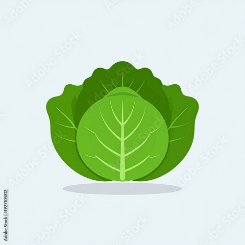 Fresh green lettuce leaf isolated on white background healthy food vegetable