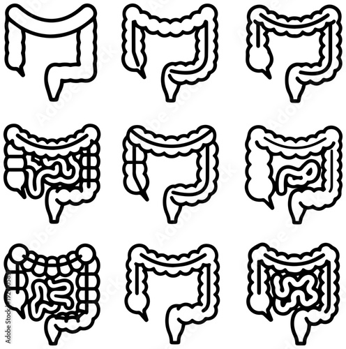 Human digestive system anatomy illustrations set