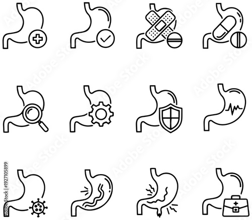 Stomach health and digestive system icons for medical and wellness concepts