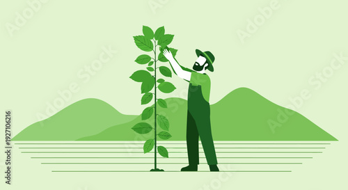 Person in green overalls tending to a tall plant with large leaves.