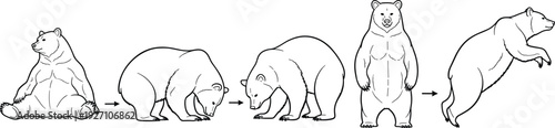Black and white bear movement sketch set, grizzly or brown bear sitting standing and walking, nature wildlife animal icons, hand drawn vector, isolated on white background.