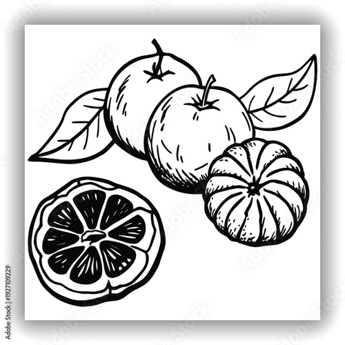 A high-angle shot presents a still life composition of tangerines against a transparent backdrop. The primary subject features two whole tangerines and several detached segments. One tangerine is peel