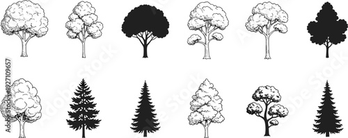 Black tree silhouette and hand drawn sketch set, deciduous and coniferous forest collection, pine and oak vector icons, nature landscape, isolated on white background.