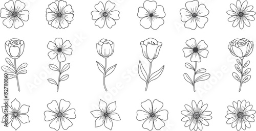 A set of 16 black and white flower illustrations isolated on transparent background