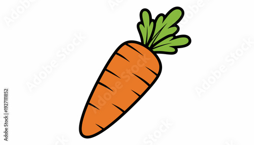 Orange Carrot with Green Leafy Top Illustration - Healthy Food and Vegetable Graphic