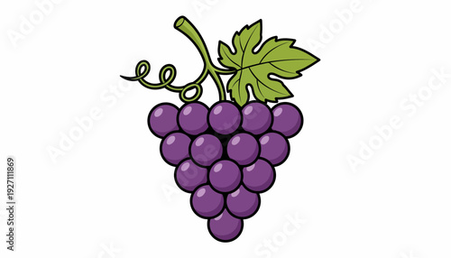 Bunch of Ripe Purple Grapes with Green Leaves and Stem, Delicious Healthy Fruit Illustration