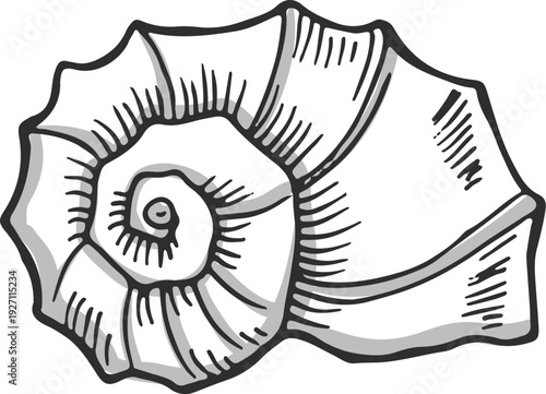 Snail shell hand drawn icon. Decorative marine seashell