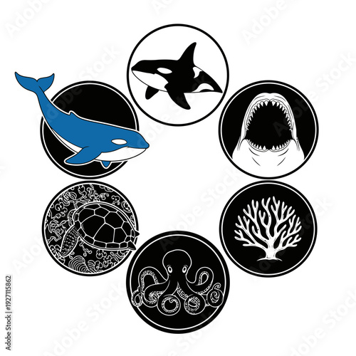 Collection of marine life icons including a killer whale, shark, octopus, sea turtle, and coral