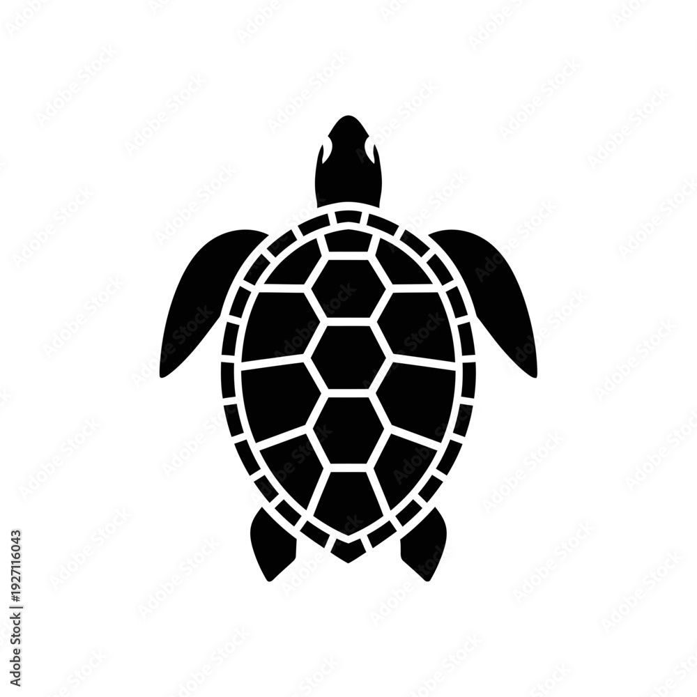 Fototapeta premium turtle vector illustration