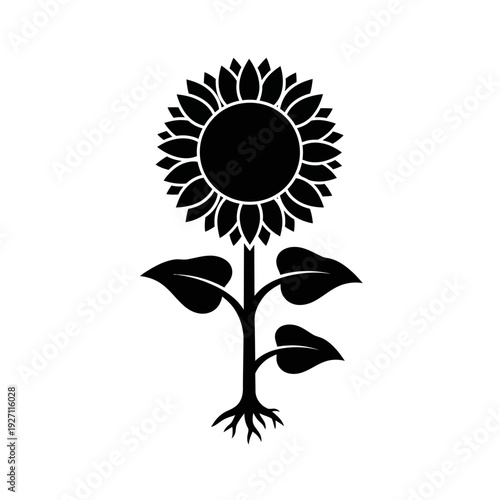 A simple black and white illustration of a sunflower with roots and leaves, perfect for nature and floral designs