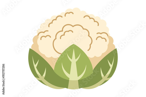 Cartoon Cauliflower with Green Leaves, Fresh Vegetable Icon