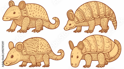Four illustrations of armadillos in various poses. Warm tones, detailed lines, simple design