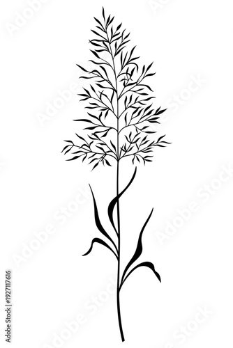 Vector flower floral black silhouette hand drawn. Botanical illustration on white background. Elegant spring nature element with leaves, flowers, branches