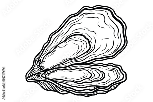 Detailed black and white line art illustration of an open oyster