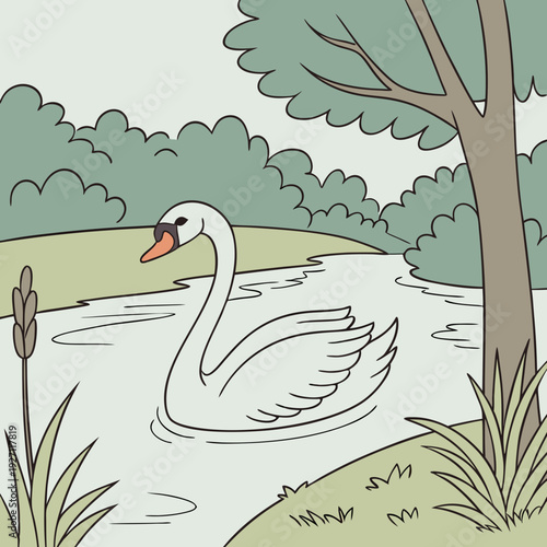 Cygne dans l'eau