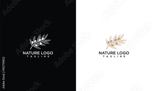 Elegant Olive Branch Logo Design Minimalist Nature Brand Identity Vector.