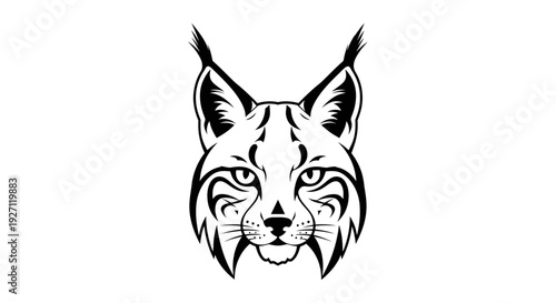 Black and White Lynx Head Illustration.
