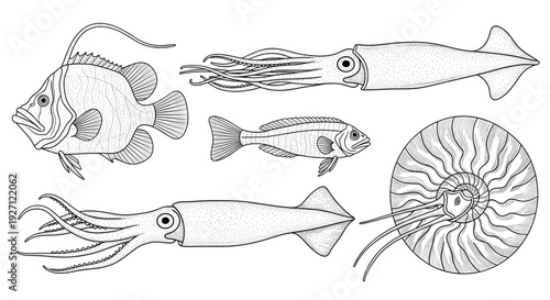 
Deep Sea Biology & Ancient Marine Life
