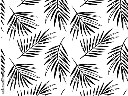 Black Palm Frond Pattern White Background Tropical Leaf