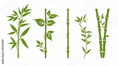 A collection of green bamboo illustrations with varying stem and leaf designs on a white background