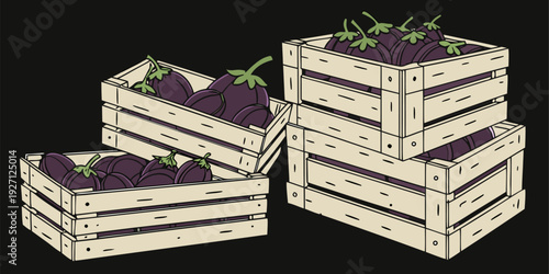 Four wooden crates, each filled with eggplants, are arranged across the image. The eggplants are deep purple, with a glossy sheen and green stems. The crates are made of light-colored wood, with visib