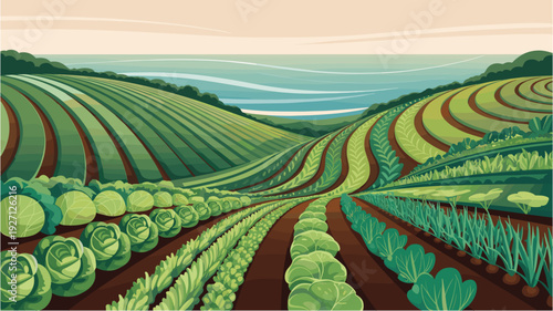 Cultivated fields on rolling hills with ocean view, agriculture landscape, farming and crops