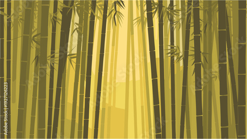 Dense bamboo grove with warm golden light filtering through stalks