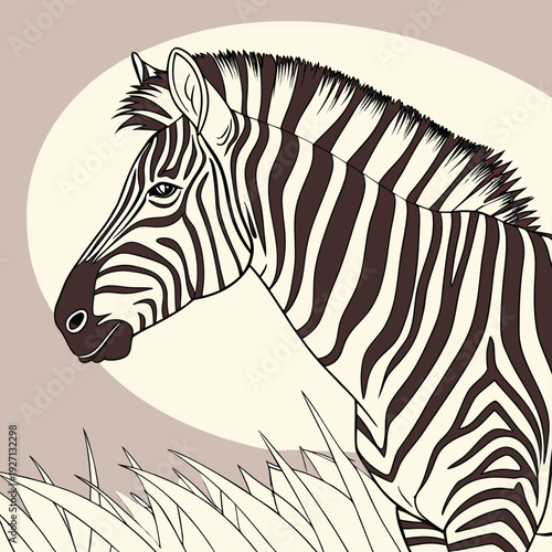Create a highly detailed vector illustration of a zebra, with bold black and white stripes, showcasing its muscular build and natural elegance. The zebra should have intricate fur textures and precise