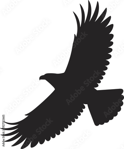 Black flying eagle silhouette isolated on white background, majestic raptor bird of prey soaring with wide wings, powerful nature symbol.