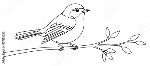 Simple continuous line drawing of a small bird sitting on a tree branch with leaves
