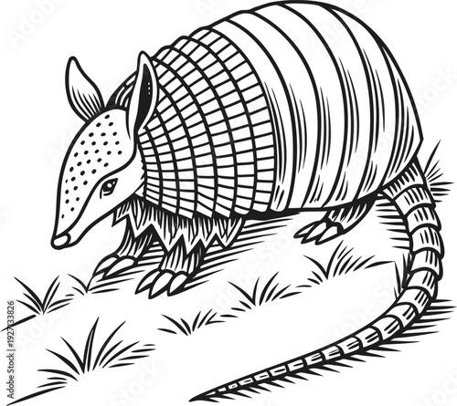 Create a detailed vector illustration of an armadillo in side profile, featuring segmented armored plates with intricate linework and fine texture. Use bold black outlines, high-contrast monochrome sh