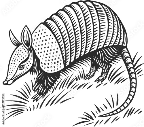 Create a detailed vector illustration of an armadillo in side profile, featuring segmented armored plates with intricate linework and fine texture. Use bold black outlines, high-contrast monochrome sh
