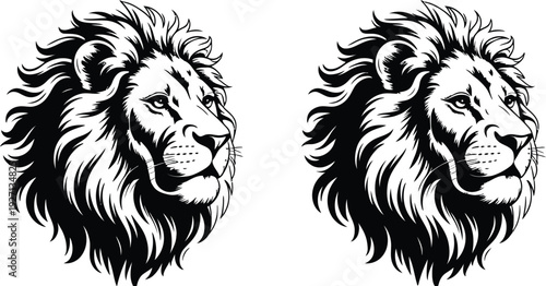 Lion head vector illustration, majestic mane artwork, bold black and white design, colorful stylized animal portrait, tattoo logo inspiration, artistic wildlife drawing