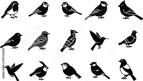 Collection of fifteen diverse bird silhouettes in black and white on a plain background