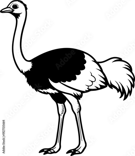 An illustration of an ostrich, depicted in black and white, against a stark white background. The ostrich is positioned on the right side of the frame, facing left in a full-body profile view. It has 