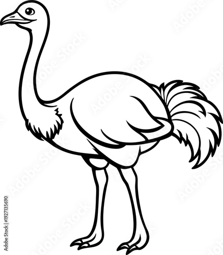 An illustration of an ostrich, depicted in black and white, against a stark white background. The ostrich is positioned on the right side of the frame, facing left in a full-body profile view. It has 