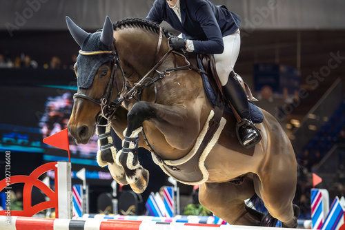 Fotografia Equestrian Sports photo themed: Horse jumping, Show Jumping, Horse riding