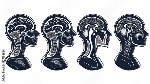 Stylized, four human head profiles showing brain and internal structures. Dark blue and white design