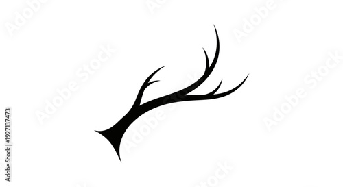 Deer Antler Silhouette Isolated on White.