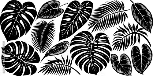 A watercolor illustration showcasing an assortment of tropical foliage. The composition features various types of leaves, including Monstera, banana leaves, ferns, palm fronds, and heart-shaped leaves