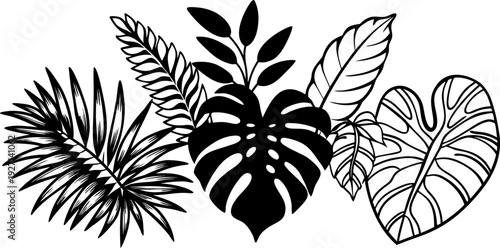A watercolor illustration showcasing an assortment of tropical foliage. The composition features various types of leaves, including Monstera, banana leaves, ferns, palm fronds, and heart-shaped leaves
